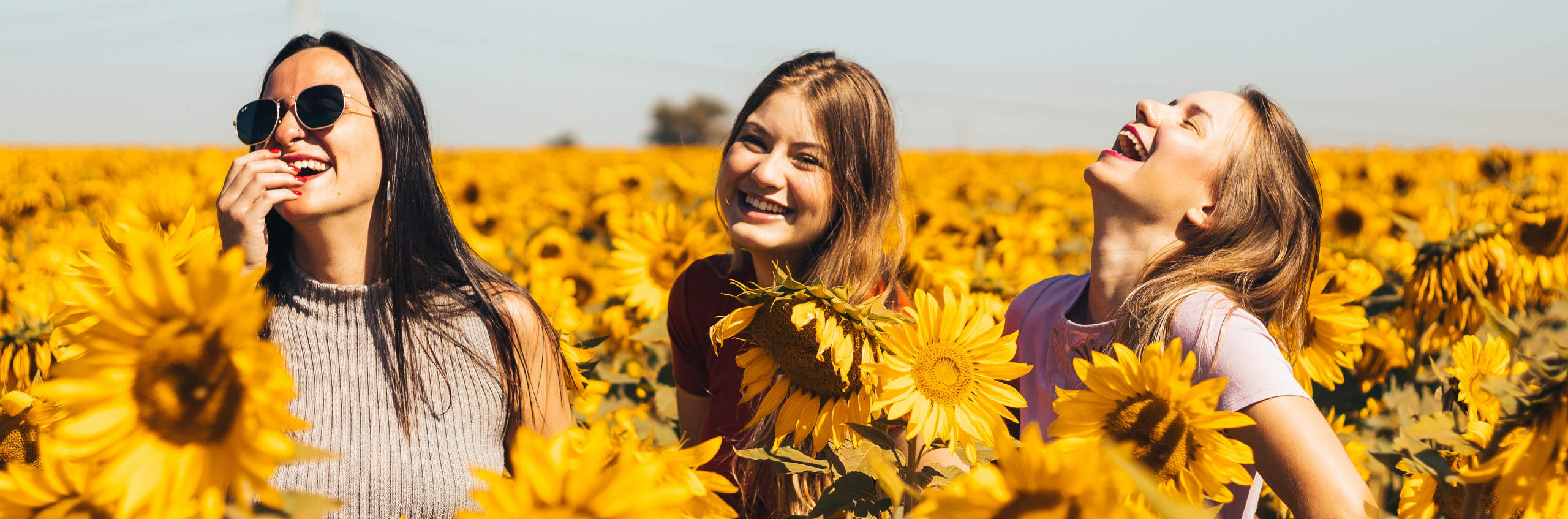 Lead a happier, healthier life with Essential Oils